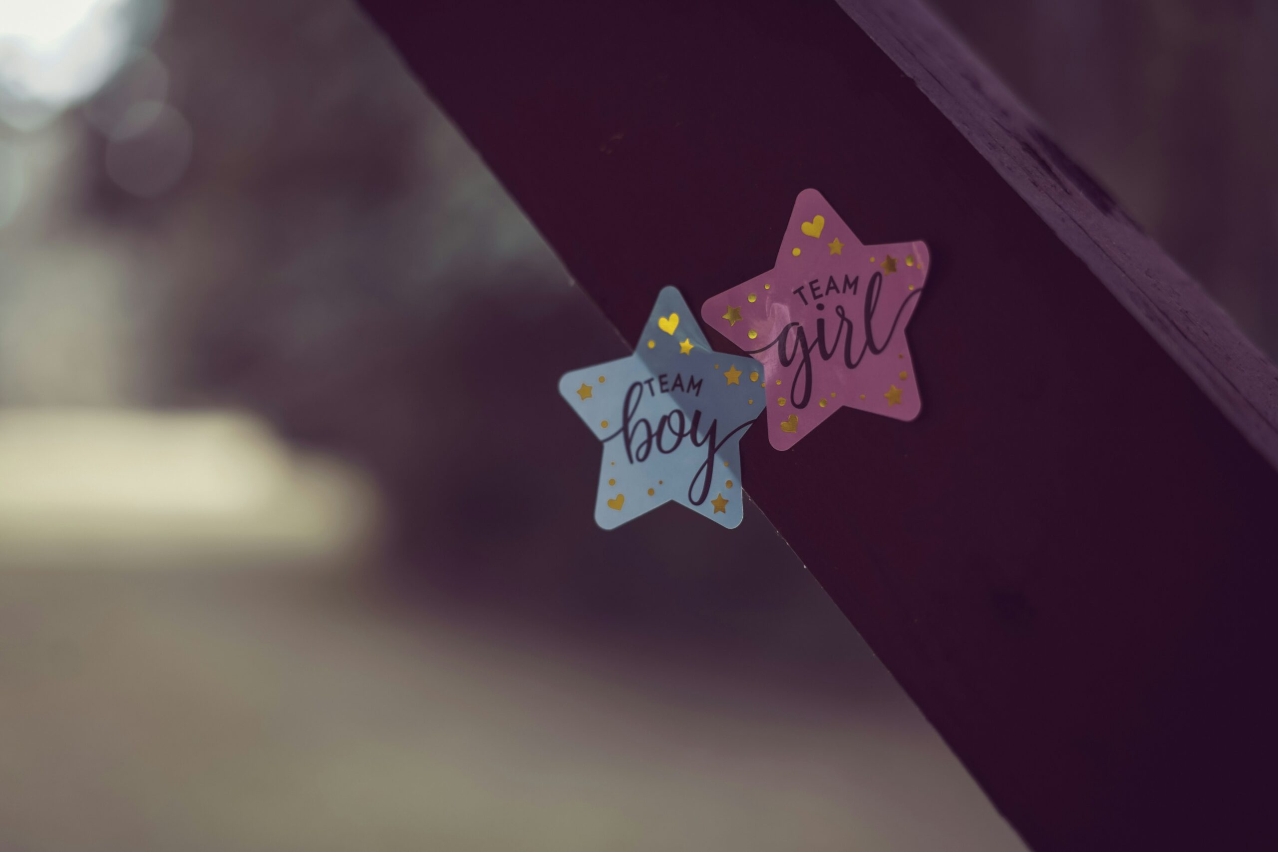 gender reveal